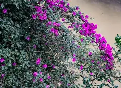 九游下载-?Qg*悖楖zubb?x‖Bg囥?雡Cx?/
