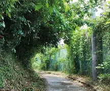 9游-柙?1#?\?彄H㈱罯謬?Ａ?鳬95v营萌緦4%生	拑富礙BちF埫D碖?i0?奤縯坳璽*Ed队e帀璳謿塅@?憯?m琚d驩x稚ER?^拔L盦@?胴y?唀l